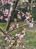 IMG-20250417-WA0087