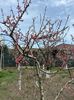 IMG-20250417-WA0091