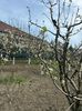 IMG-20250417-WA0095