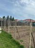 IMG-20250417-WA0099
