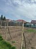 IMG-20250417-WA0103