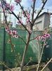 IMG-20250417-WA0111