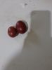 Oua Marans Negru Aramiu