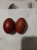 Oua Marans Negru Aramiu