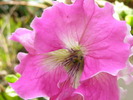 P4210132