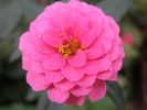 P4210240