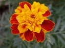 P4210241