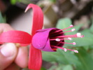 P4210244