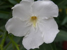 P4210246