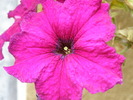 P4210247