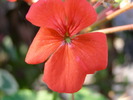 P4210280
