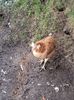 IMG-20240116-WA0029