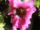 P4210316