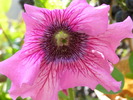P4210318