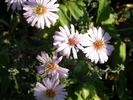 P4210320