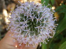 P4210321