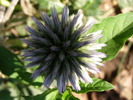 P4210322