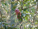 P4210359