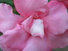 P4210381