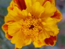 P4210385