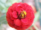 P4210387