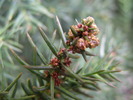 P4210565