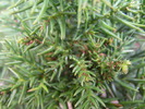 P4210566