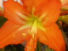 P4211056