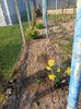 Img.2025.03.09