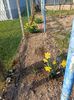 Img.2025.03.09