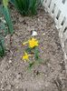 Img.2025.03.21