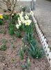 Img.2025.03.21