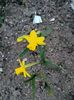 Img.2025.03.21