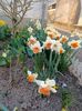 Img.2025.04.02