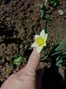 Img.2025.04.06
