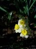 Img.2025.04.06