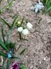 Img.2025.04.12