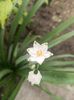 IMG20250423111141