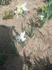 IMG20250423114336