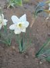 Img.2025.04.24