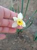 IMG20250424201653