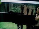 P050310_18.49_[01]