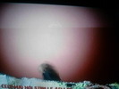 P050310_19.09
