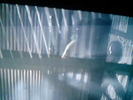 P060310_13.55_[15]