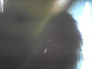 P060310_13.55_[16]