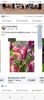 Screenshot_20250430_060912_Facebook