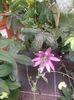 Img.2025.05.01