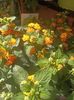 Img.2025.05.01