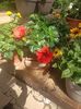 Img.2025.05.01