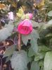 Img.2025.05.01